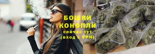 молекула духа Богданович