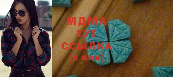 шишки Бородино