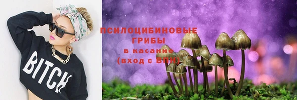 прущие грибы Бронницы