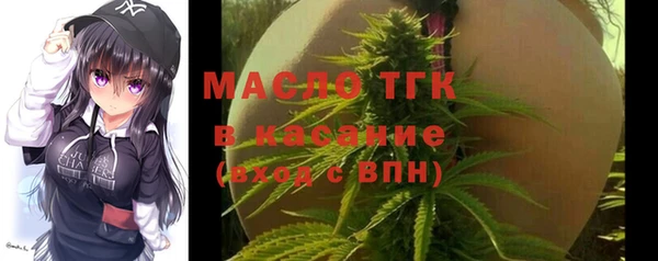 шишки Бородино