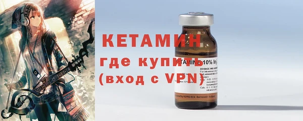 шишки Бородино
