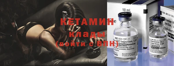 шишки Бородино