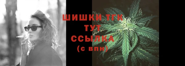 прущие грибы Бронницы