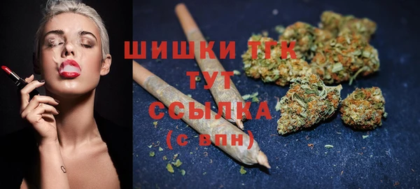 молекула духа Богданович