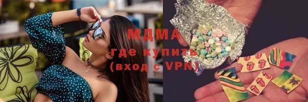 молекула духа Богданович