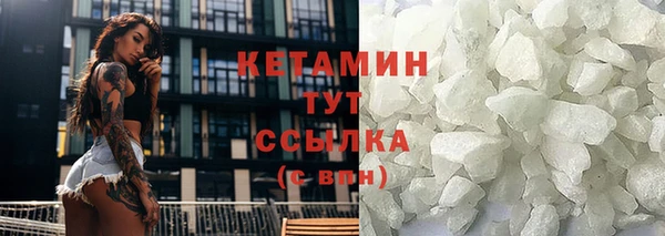 прущие грибы Бронницы